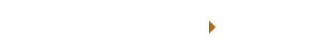 Archivio Digitale Canali di Bologna